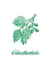 Logo gr&uuml;n mit Schriftzug