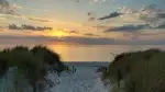 1000135783